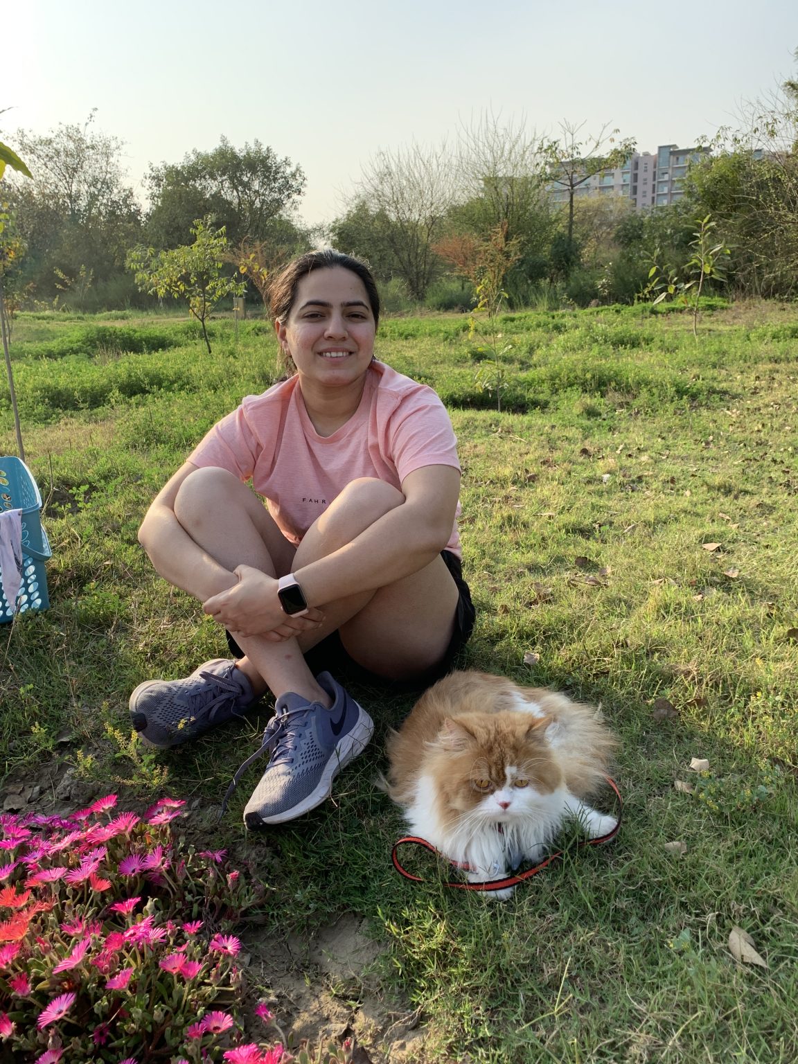 All About Amla Health Benefits, Nutrition, Amla Juice Recipe